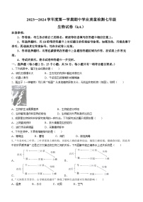 河北省石家庄市赵县2023-2024学年七年级上学期期中生物试题