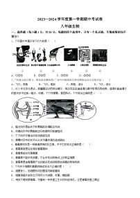 河南省商丘市虞城县公立中学2023-2024学年八年级上学期期中生物试题