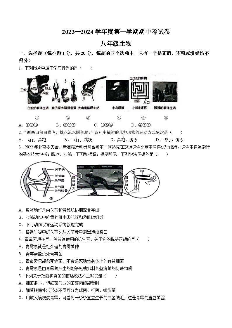 河南省商丘市虞城县公立中学2023-2024学年八年级上学期期中生物试题01