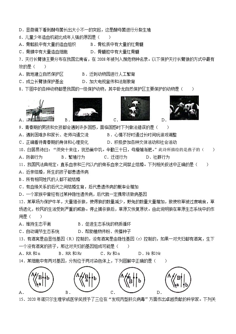 河南省商丘市虞城县公立中学2023-2024学年八年级上学期期中生物试题02