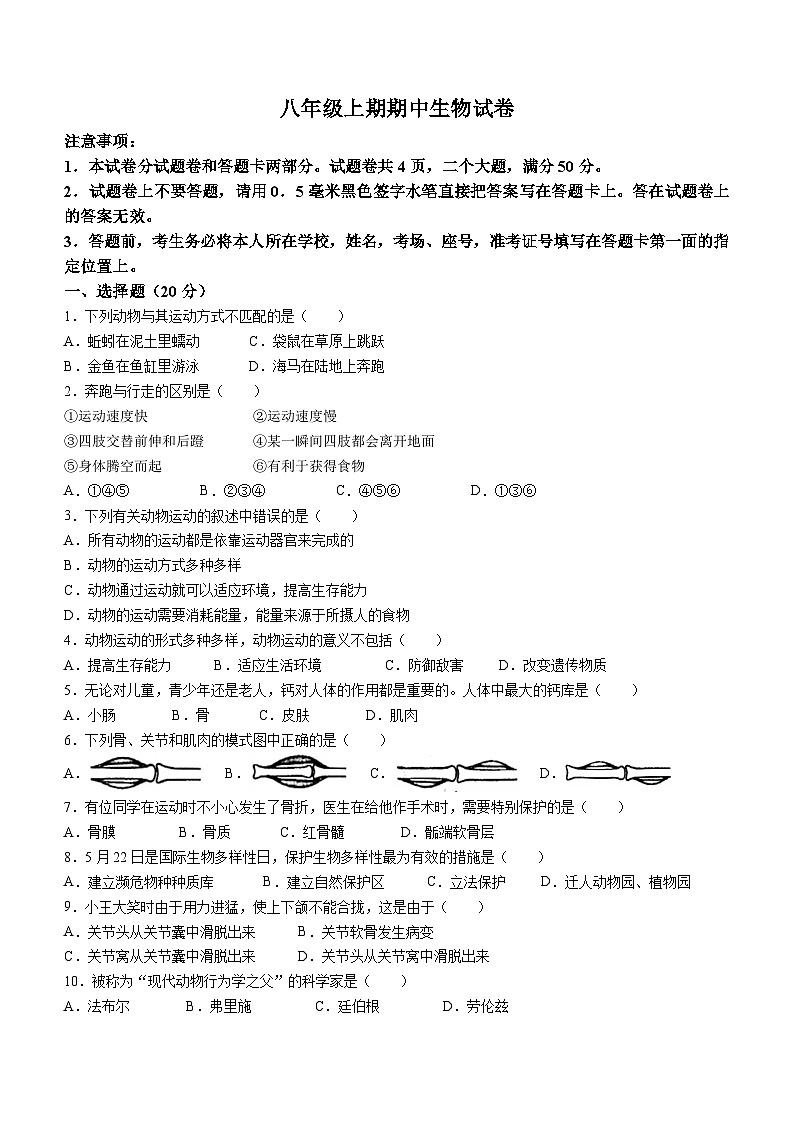 河南省新乡市辉县市2023-2024学年八年级上学期期中生物试题第1页
