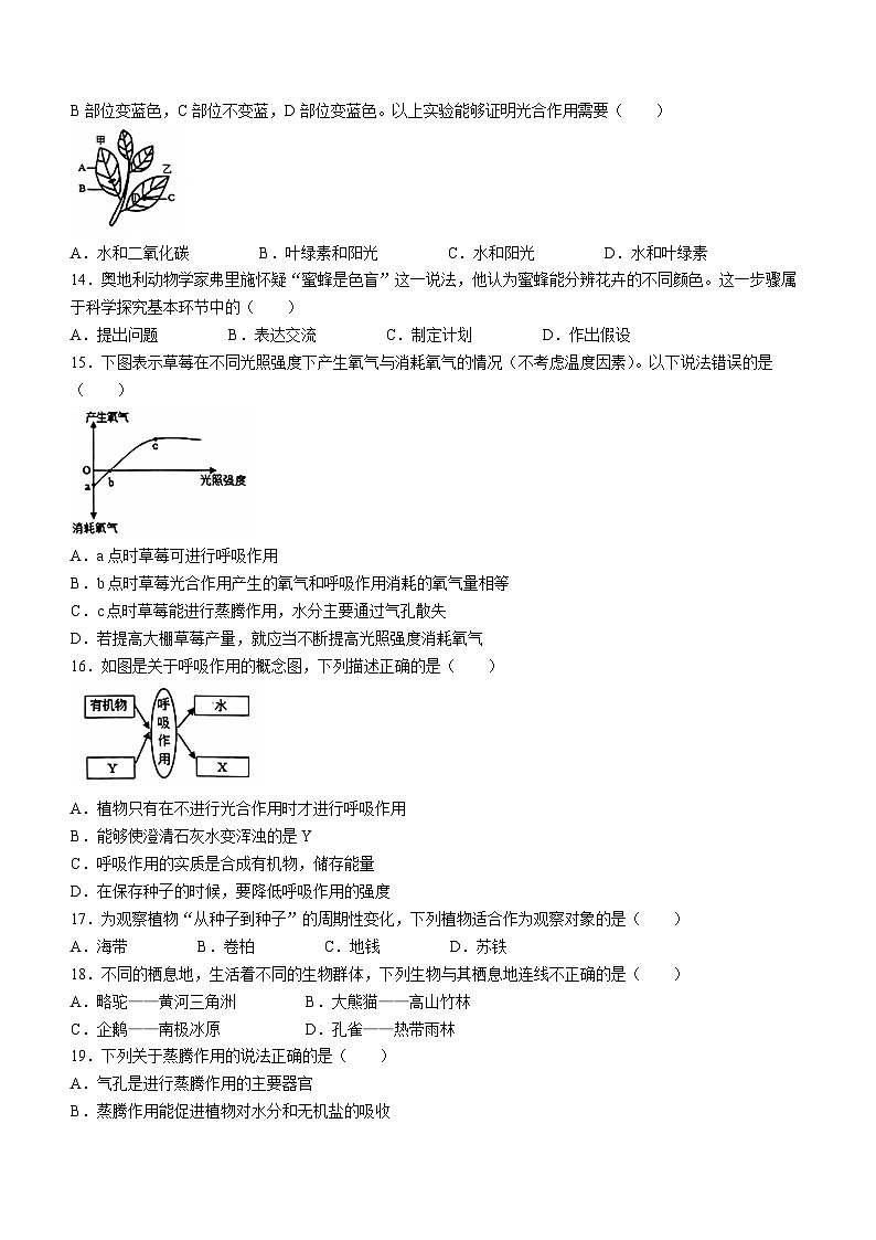 山东省菏泽市曹县2023-2024学年七年级上学期期中生物试题03