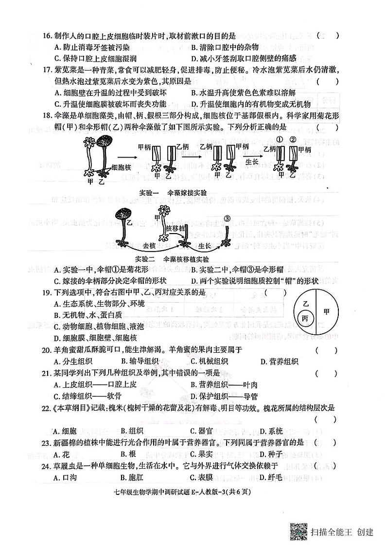 陕西省渭南市韩城市2023-2024学年七年级上学期期中质量检测生物试题03