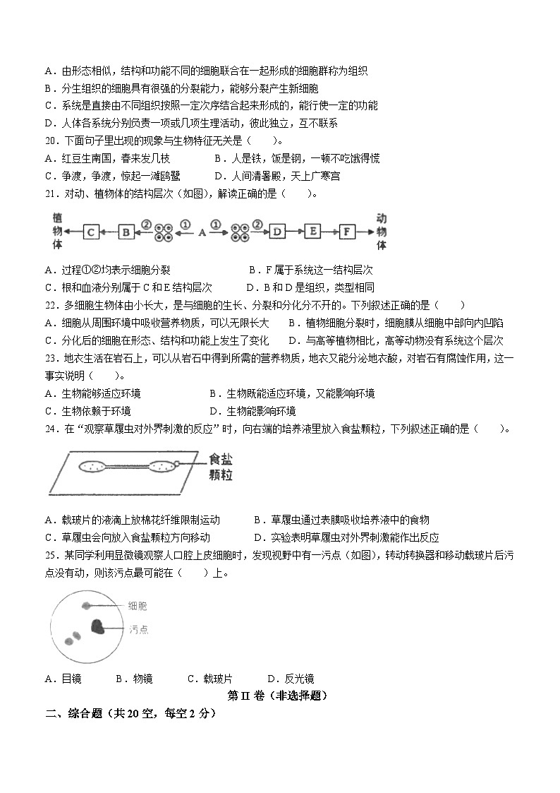 安徽省滁州市全椒县2023-2024学年七年级上学期期中监测生物试卷03