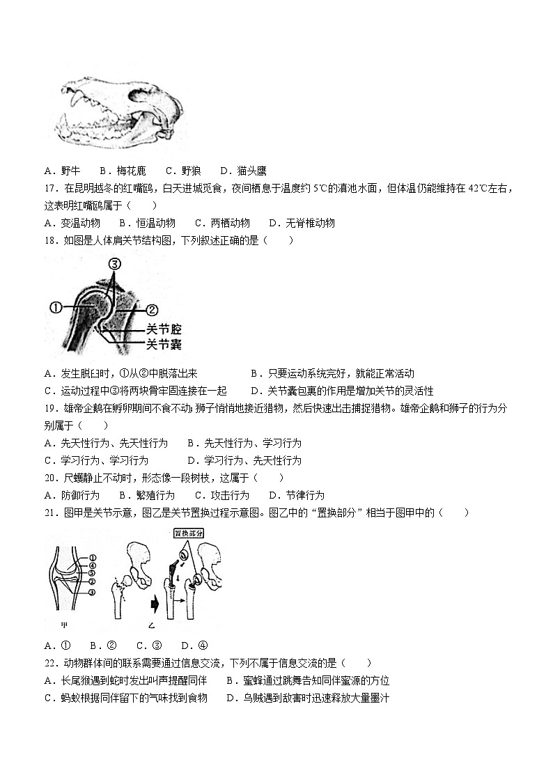 福建省三明市尤溪县2023-2024学年八年级上学期期中检测生物试卷03