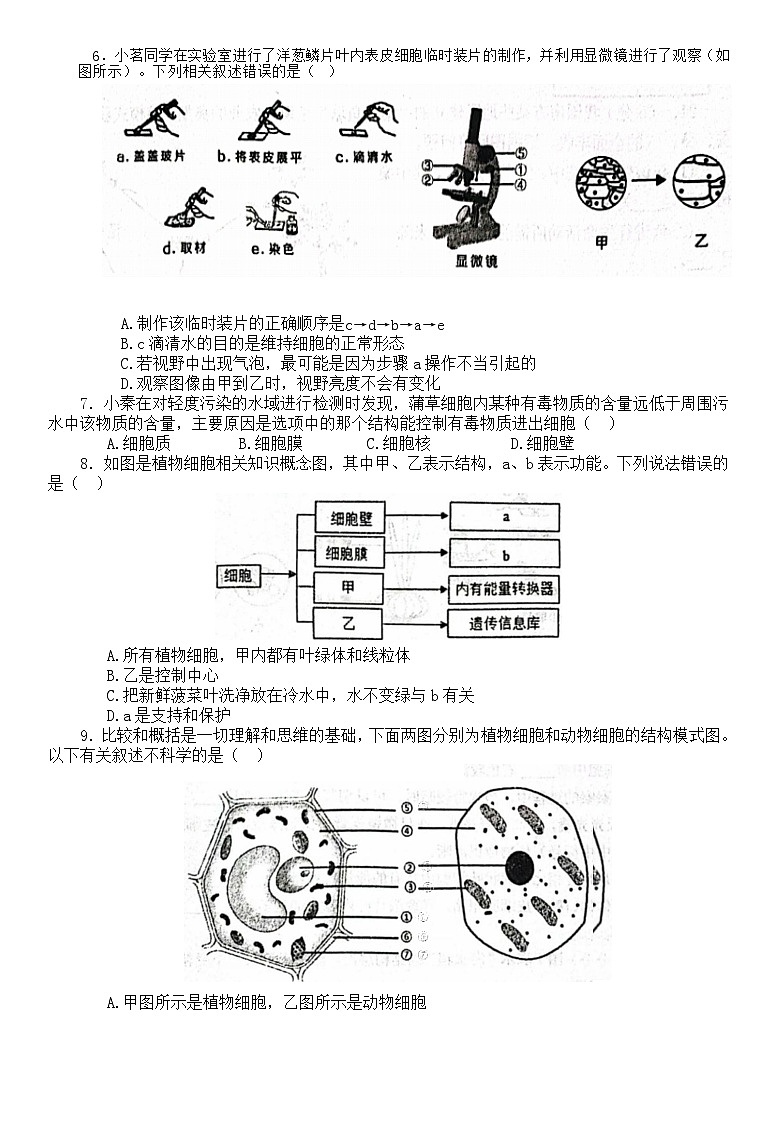 河南省南阳市淅川县2023-2024学年七年级上学期期中生物试题第2页