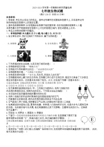 山东省德州市禹城市2023-2024学年七年级上学期期中考试生物试题