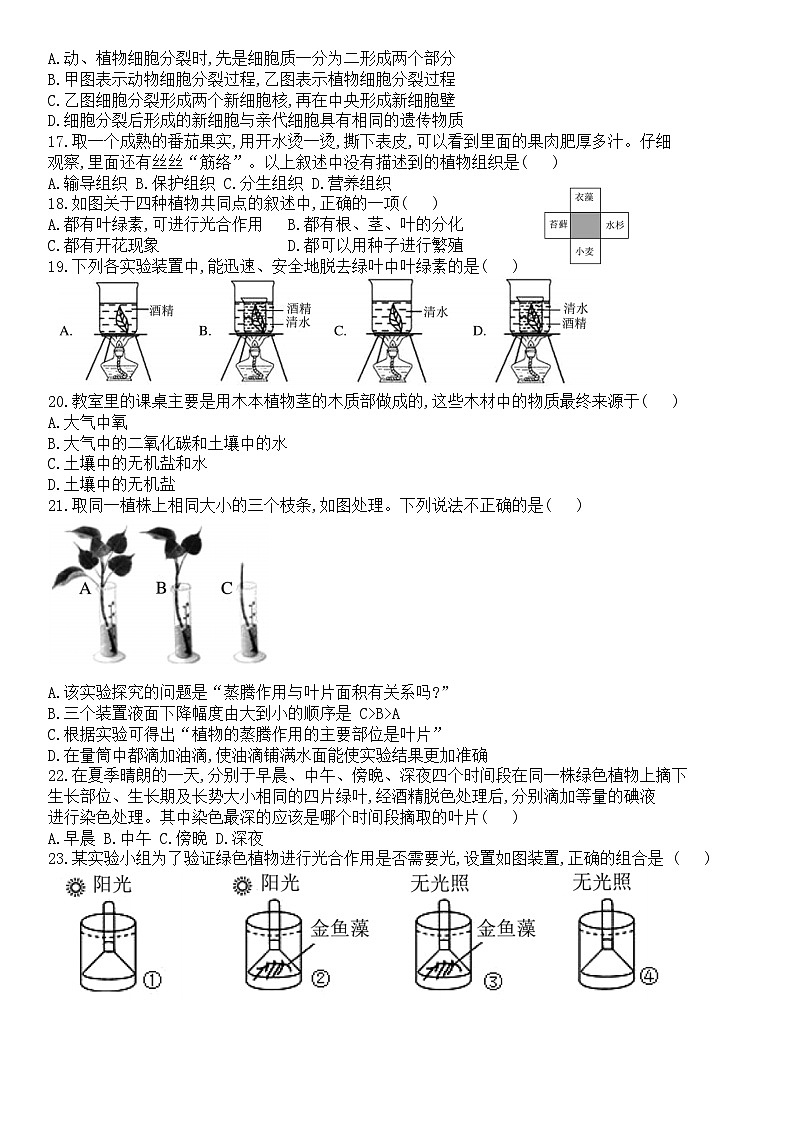 山东省德州市禹城市2023-2024学年七年级上学期期中考试生物试题03