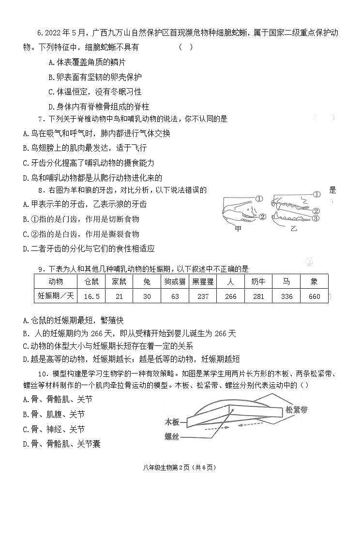 河南省南阳市新野县2023-2024学年八年级上学期期中生物试题第2页