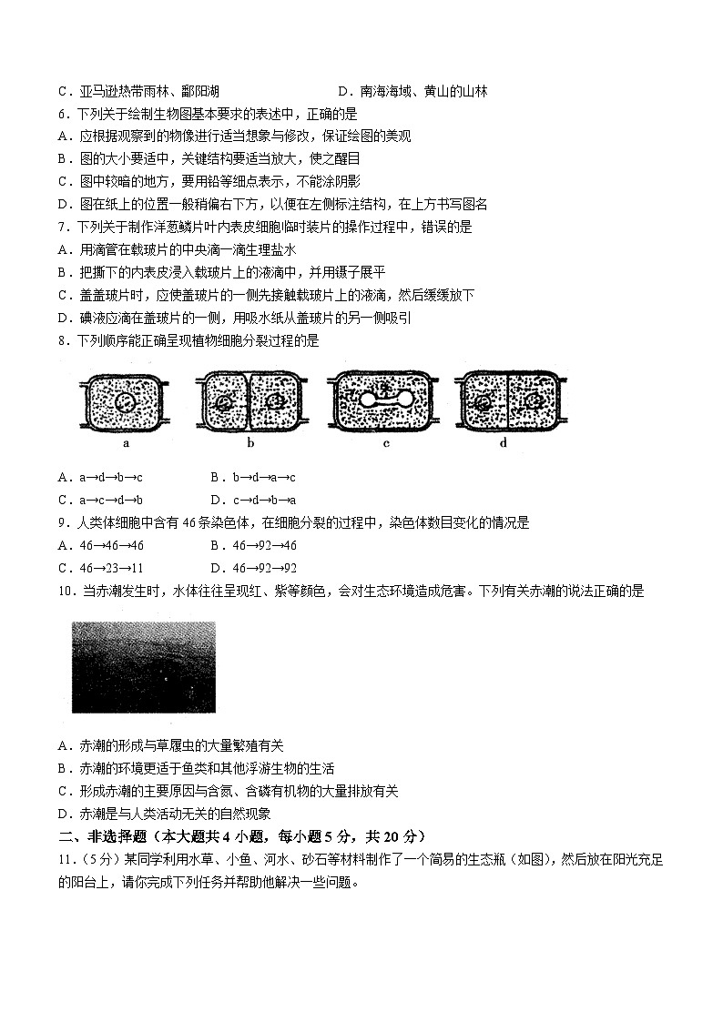 安徽省六安市霍邱县2023-2024学年七年级上学期期中生物试题02