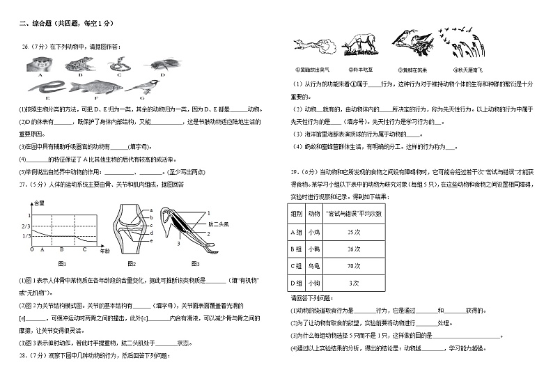 江西省南昌市雷式学校2023-2024学年八年级上学期期中考试生物试卷03