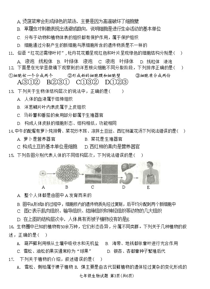 山东省菏泽市牡丹区2023-2024学年七年级上学期期中生物试题03