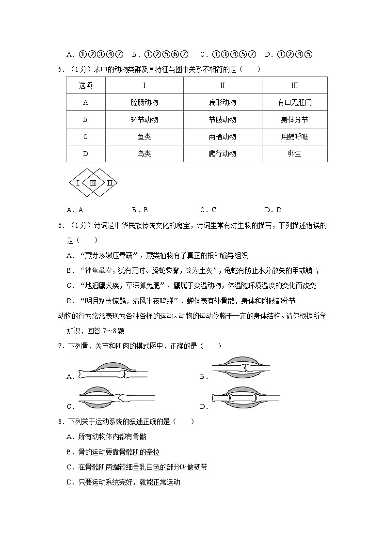 山东省青岛市第一中学市南区分校（琴岛学校）2023-2024学年八年级上学期期中生物试卷02