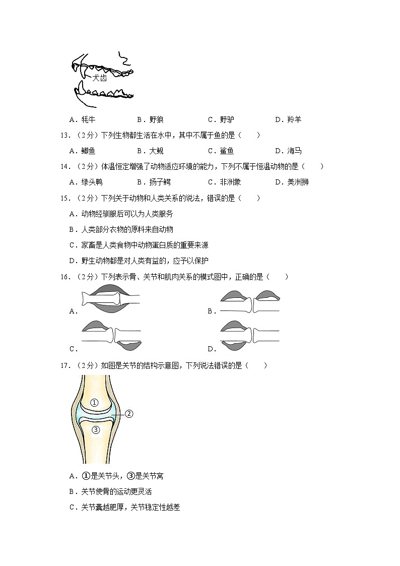 天津市北辰区2023-2024学年八年级上学期期中生物试卷03
