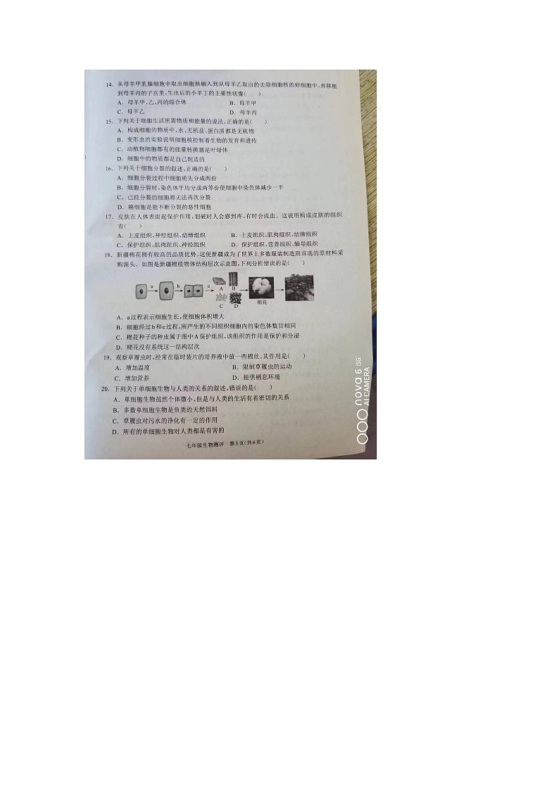 河南省驻马店市平舆县2023-2024学年七年级上学期期中生物试题03