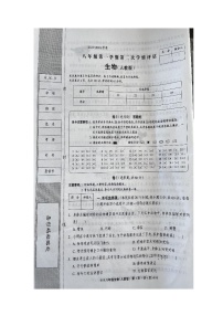 河北省邯郸市育华实验中学2023-2024学年八年级上学期期中考试生物试卷