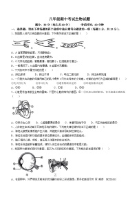 江苏省连云港市新海实验中学2023-2024学年八年级上学期期中考试生物试题(无答案)