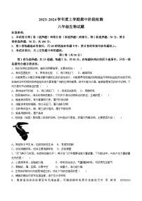 山东省临沂市临沭县2023-2024学年八年级上学期期中考试生物试题(无答案)