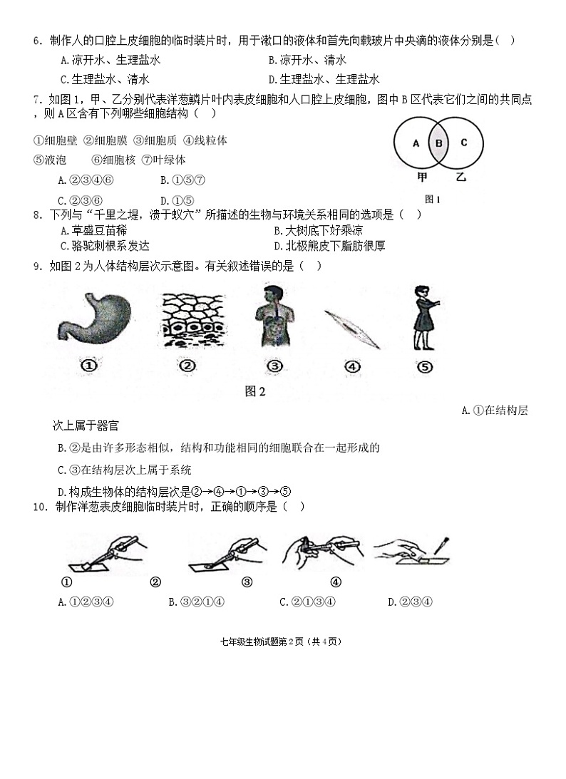 安徽省安庆市多校联考2023-2024学年七年级上学期期中生物试题（word版含答案）02