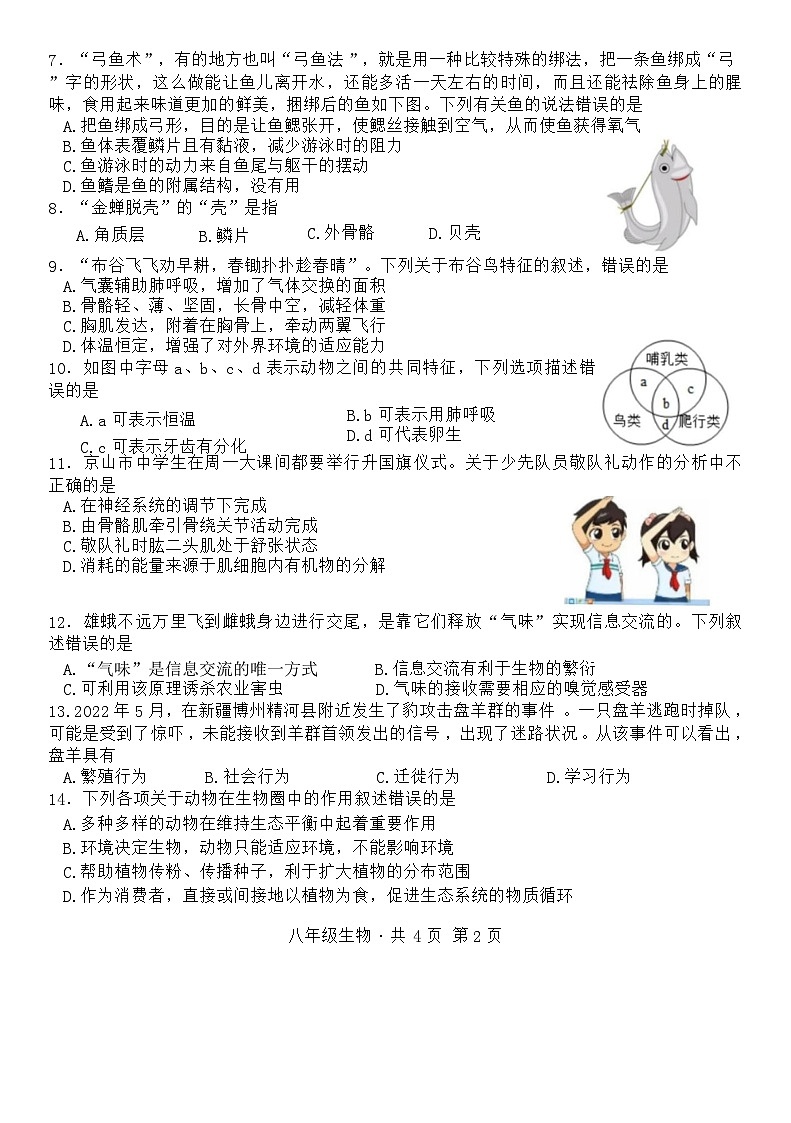湖北省京山市2023-2024学年八年级上学期期中教学质量监测生物试题（word版含答案）02