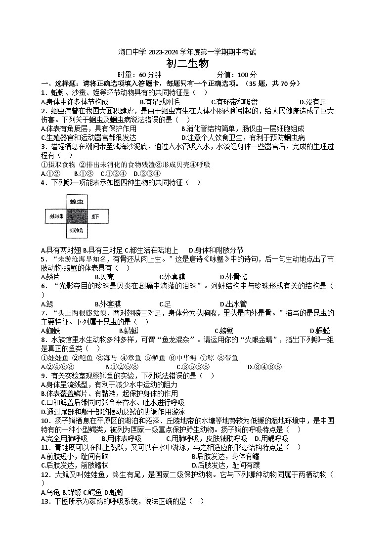 海南省海口市海口中学2023-2024学年八年级上学期期中测试生物试卷（无答案）01