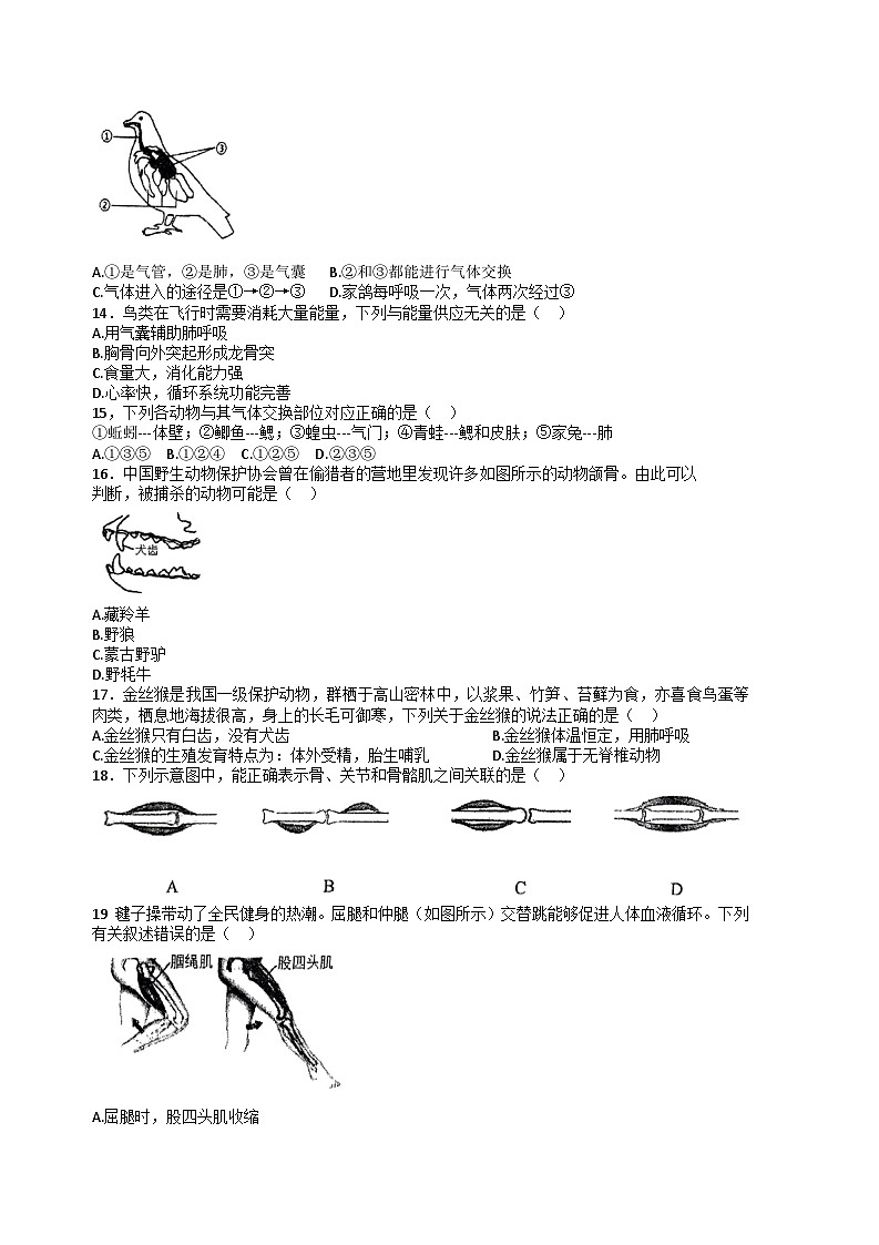海南省海口市海口中学2023-2024学年八年级上学期期中测试生物试卷（无答案）02