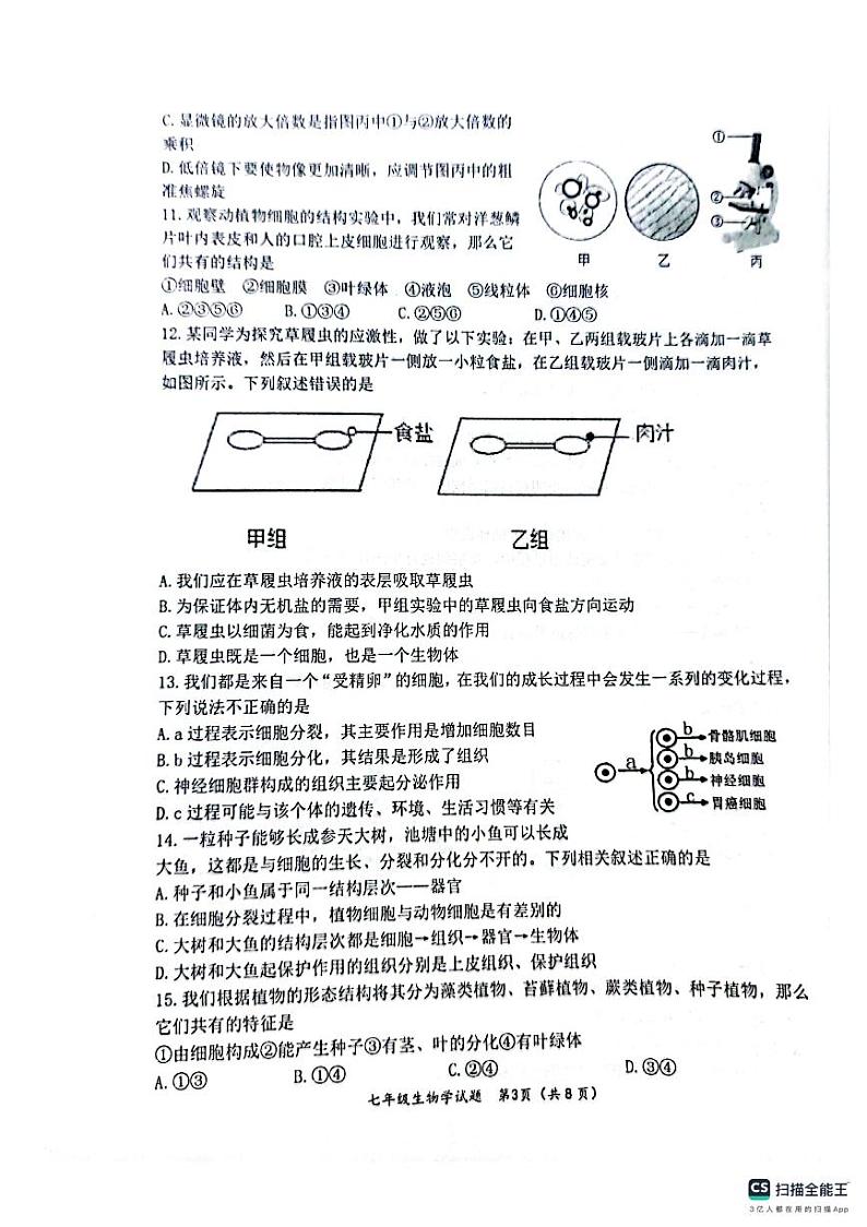 山东省滨州市无棣县2023-2024学年七年级上学期期中考试生物试题03