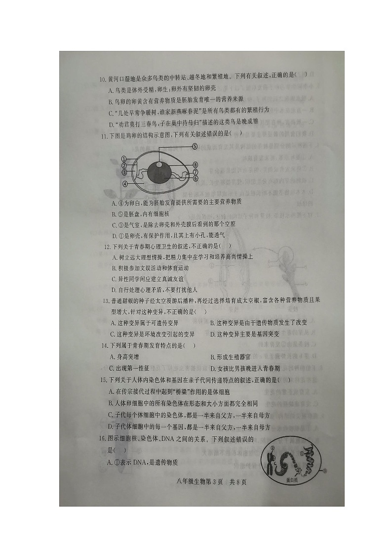 山东省德州市禹城市2023-2024学年八年级上学期期中生物试题03