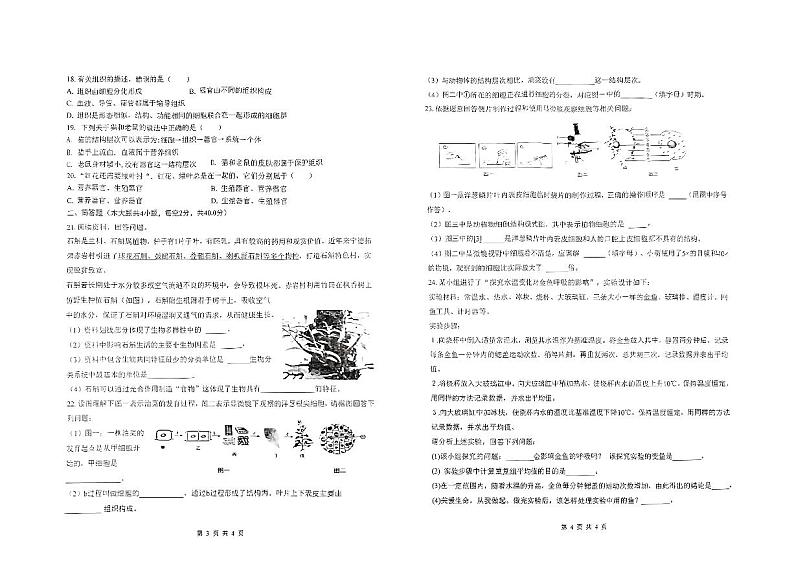 安徽省淮南市凤台县第四中学2023_2024学年上学期七年级11月期中生物试题（PDF版，含答案）第2页