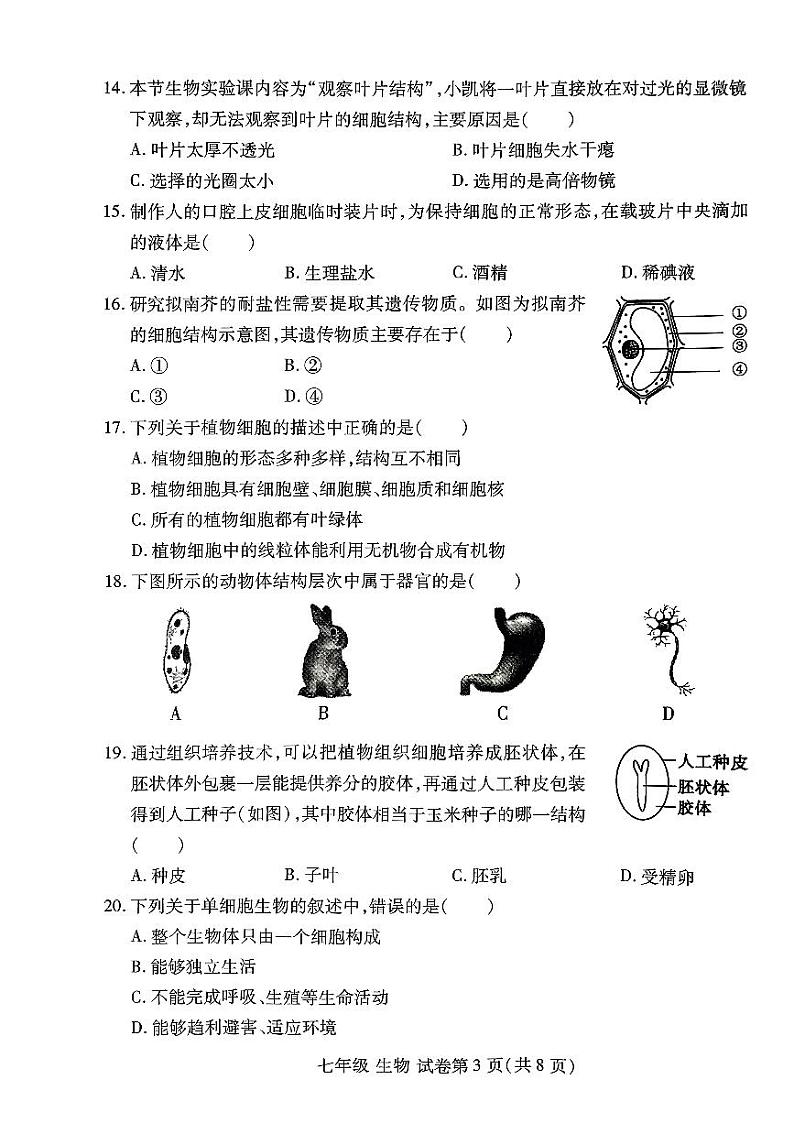 河南省洛阳市2023-2024学年七年级上学期期中生物试卷第3页