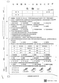 山东省济宁市兖州区朝阳学校2023-2024学年七年级上学期期中生物试题