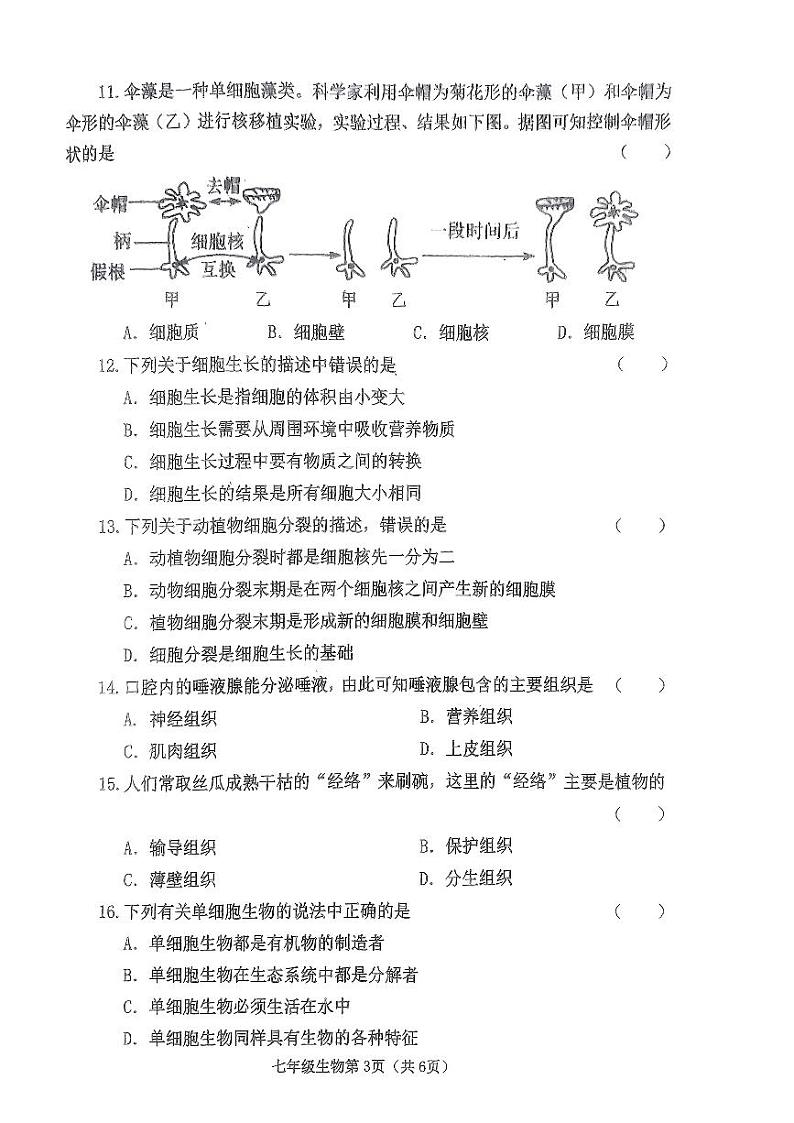 河南省南阳市新野县2023-2024学年七年级上学期期中质量调研生物学试题第3页
