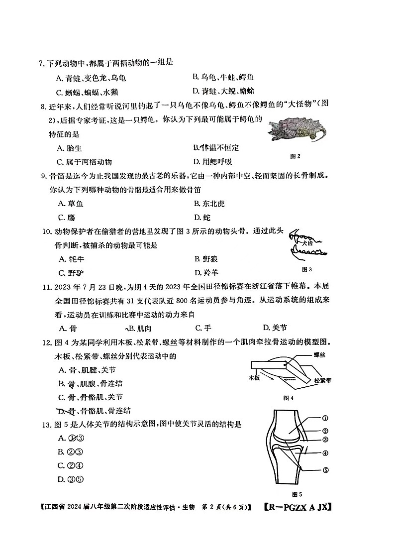 江西省赣州市大余县部分学校联考2023-2024学年八年级上学期期中生物学试题第2页