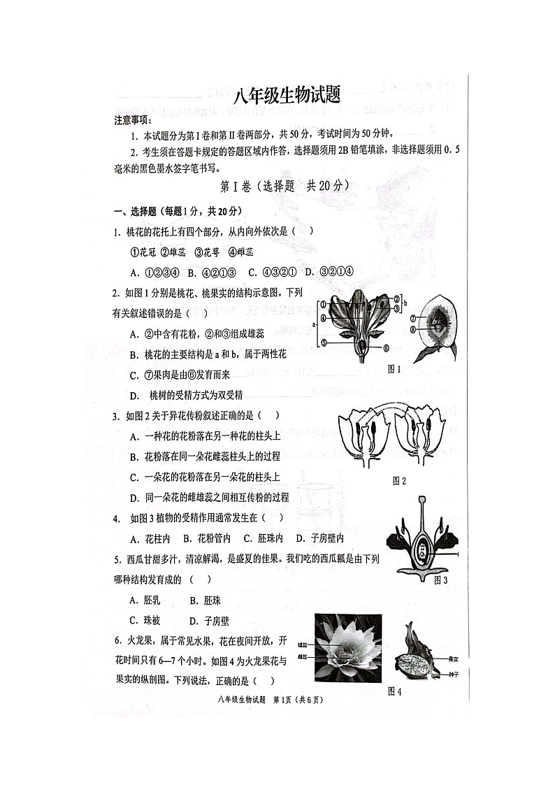 山东省菏泽鲁西新区2023-2024学年八年级上学期期中生物学试题01