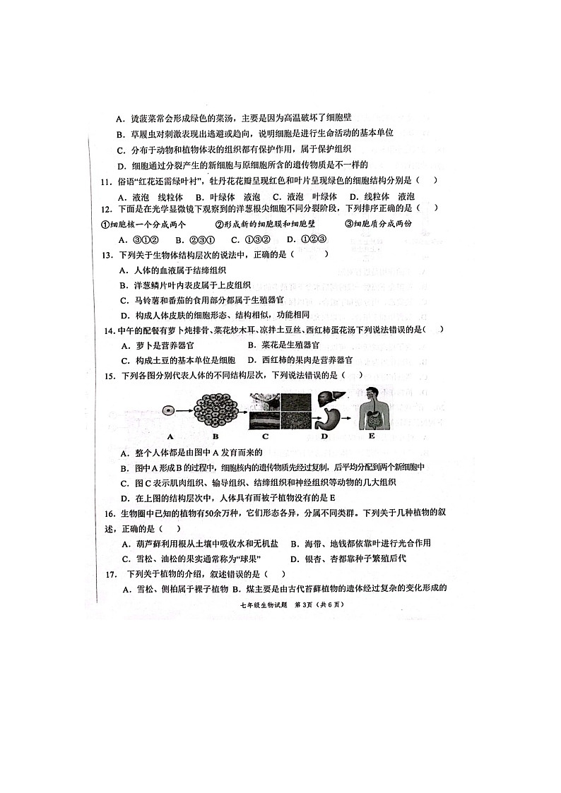 山东省菏泽鲁西新区2023-2024学年七年级上学期期中生物学试题第3页