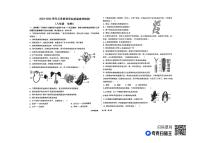 山东省德州市陵城区2023-2024学年八年级上学期期中考试生物学试题