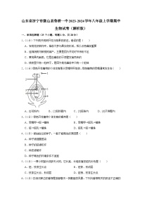 山东省济宁市微山县鲁桥一中2023-2024学年八年级上学期期中生物试卷