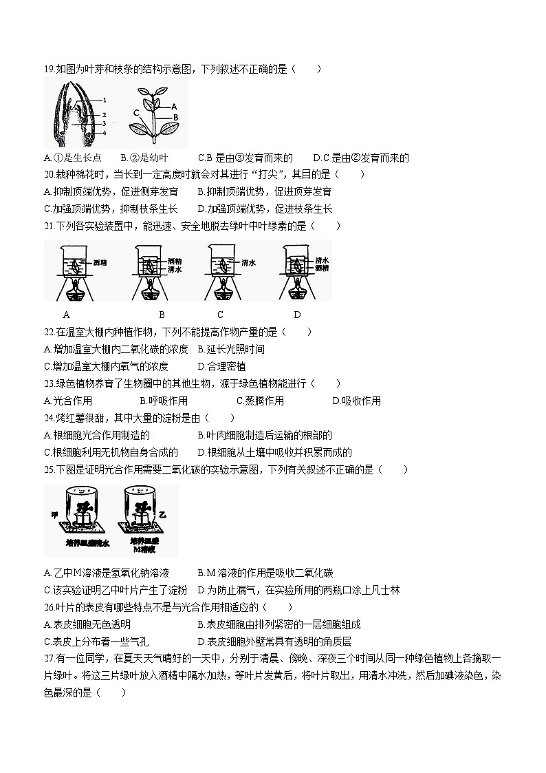 河北省保定市竞秀区2023-2024学年八年级上学期期中生物试题03