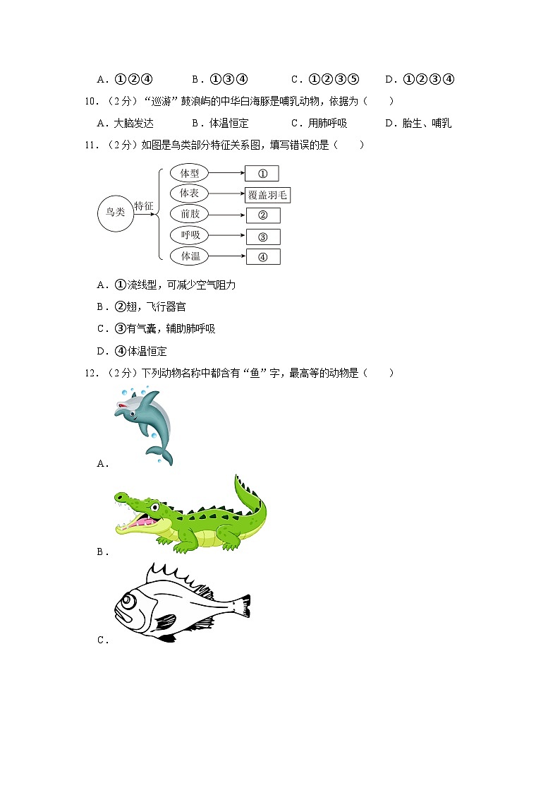 福建省厦门市同安区第三联盟校2023-2024学年八年级上学期期中生物试卷02