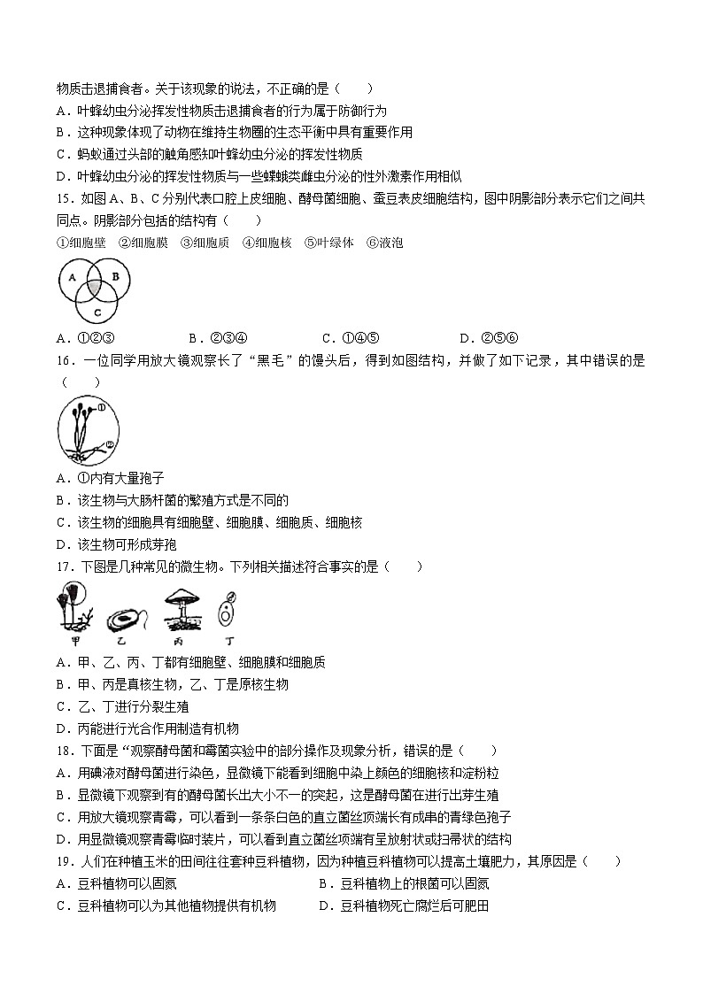 湖南省娄底市双峰县2023—2024学年八年级上学期期中考试生物试题03