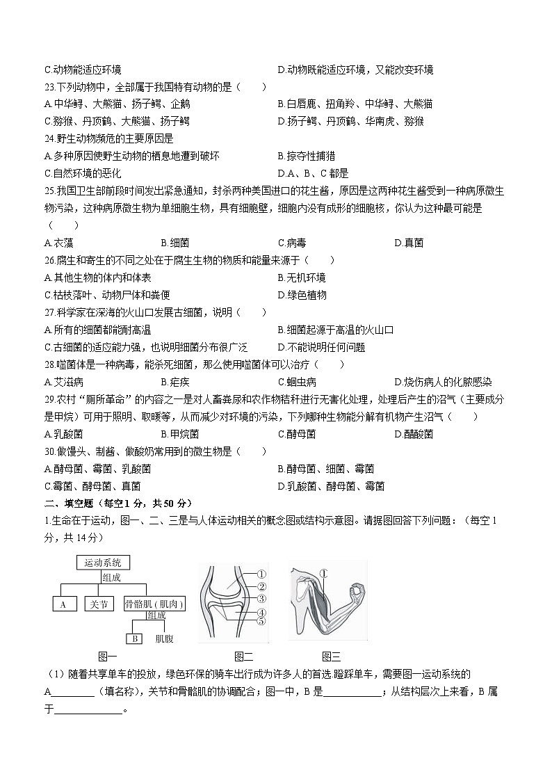 河北省张家口市宣化区2023-2024学年八年级上学期期中生物试题03