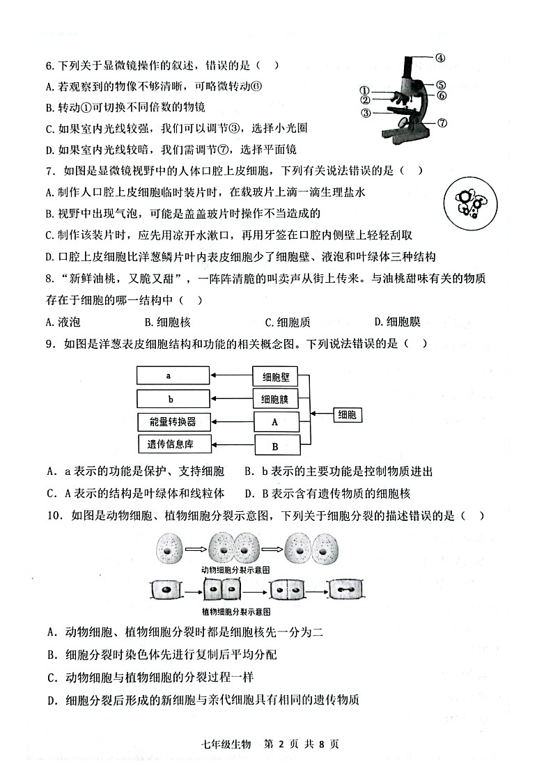 山东省菏泽市单县2023-2024学年七年级上学期期中生物学试题02