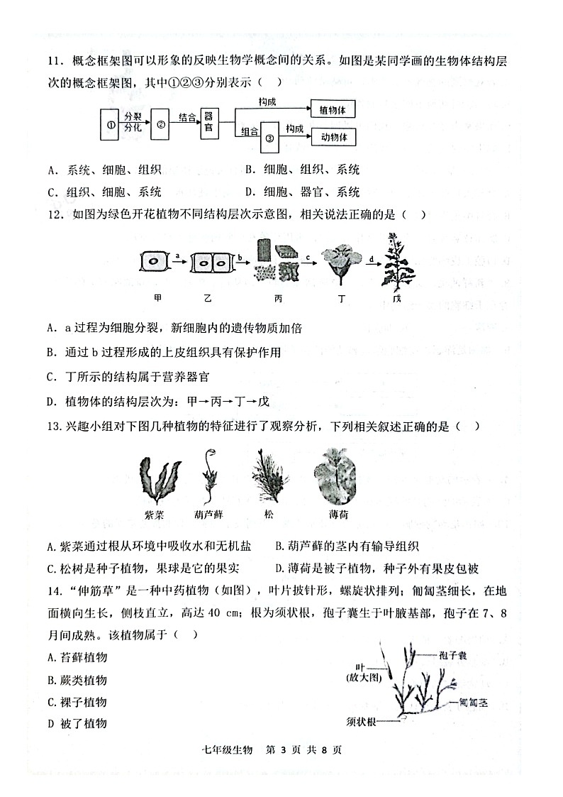 山东省菏泽市单县2023-2024学年七年级上学期期中生物学试题03