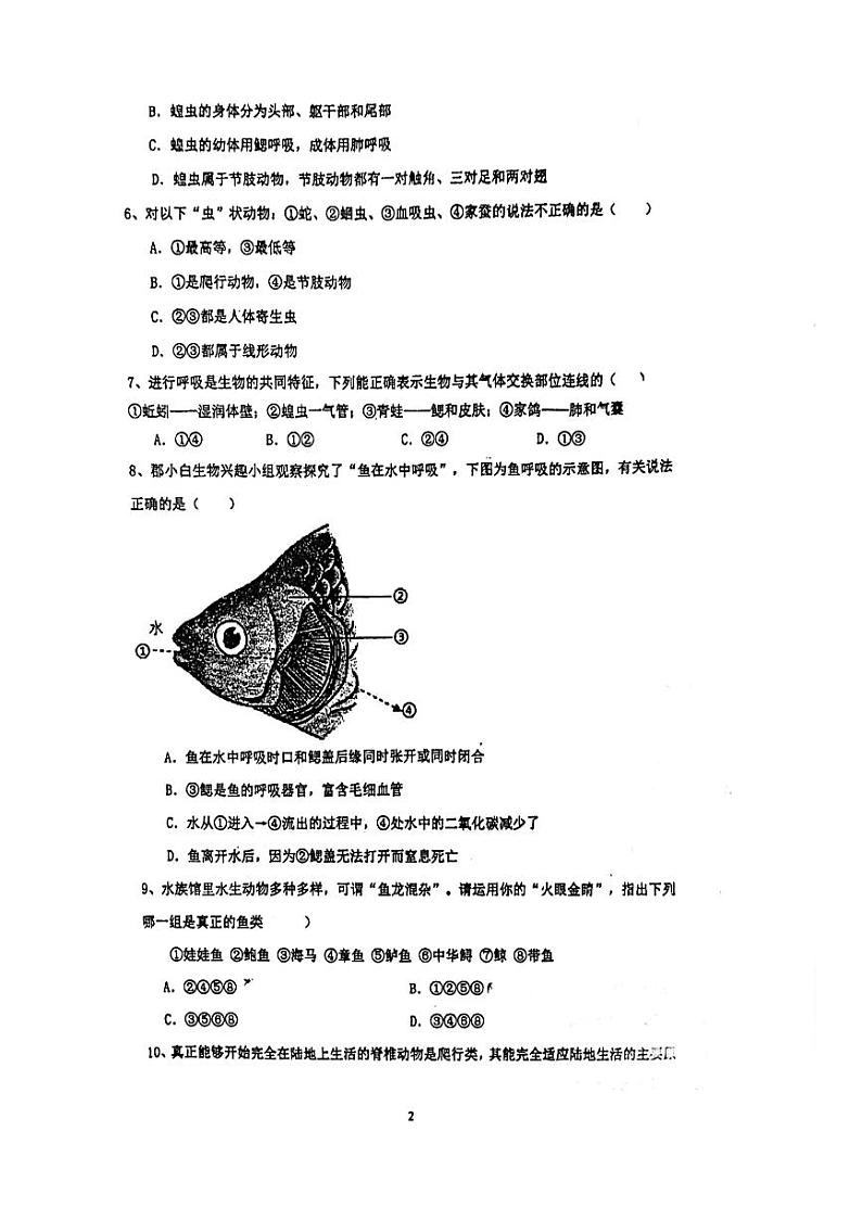 湖南省长沙市长郡双语白石湖实验中学2023-2024学年八年级上学期期中生物学试题第2页