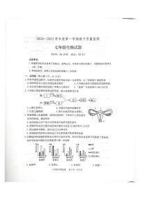 山东省泰安市宁阳县2023-2024学年七年级上学期期中考试生物学试题