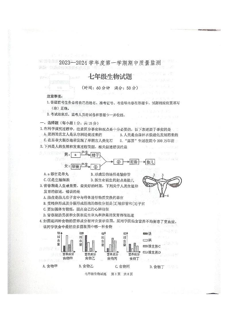山东省泰安市宁阳县2023-2024学年七年级上学期期中考试生物学试题01
