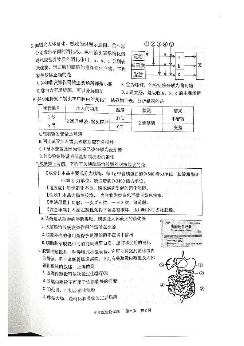 山东省泰安市宁阳县2023-2024学年七年级上学期期中考试生物学试题02