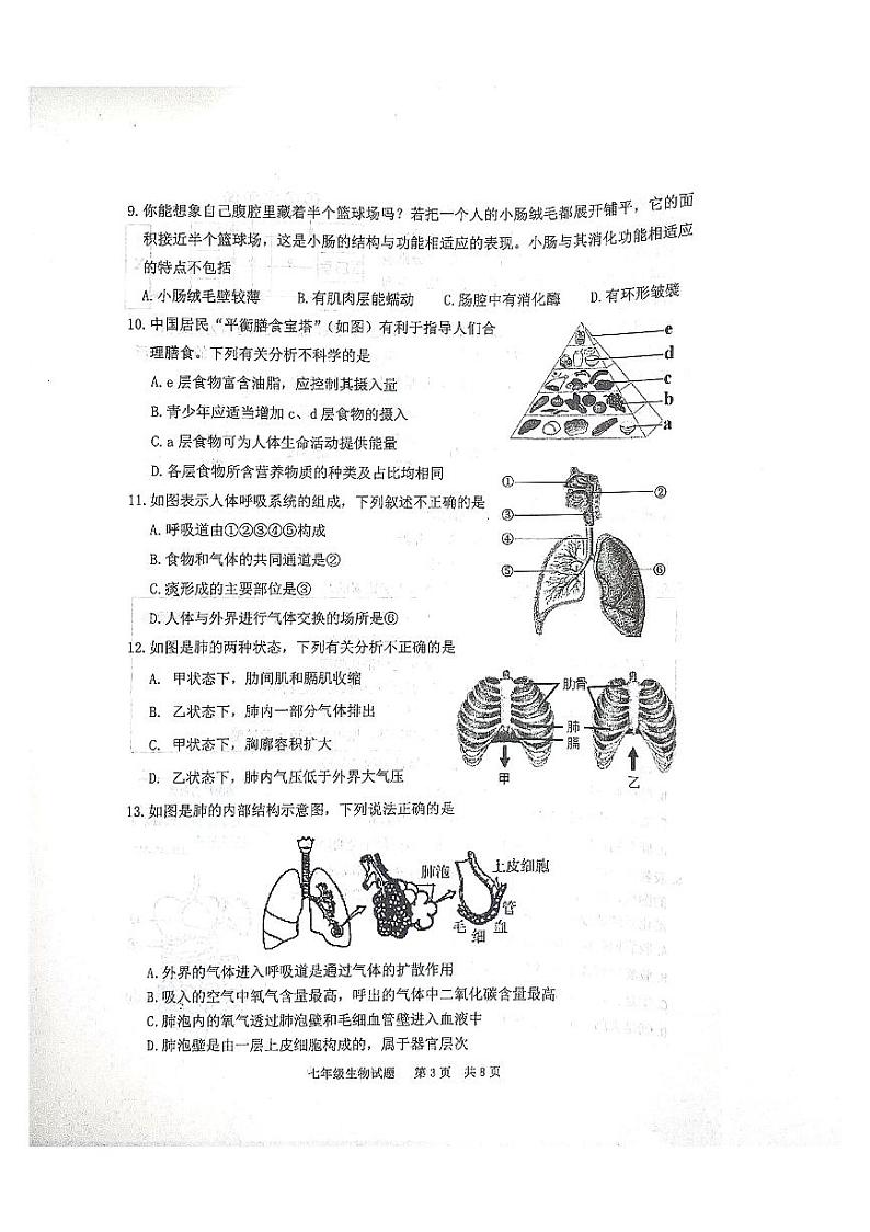 山东省泰安市宁阳县2023-2024学年七年级上学期期中考试生物学试题03