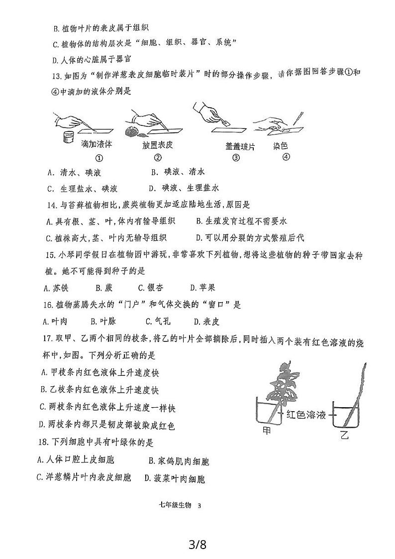 山东省济宁市嘉祥县2023-2024学年七年级上学期期中学业水平测试生物学试题03