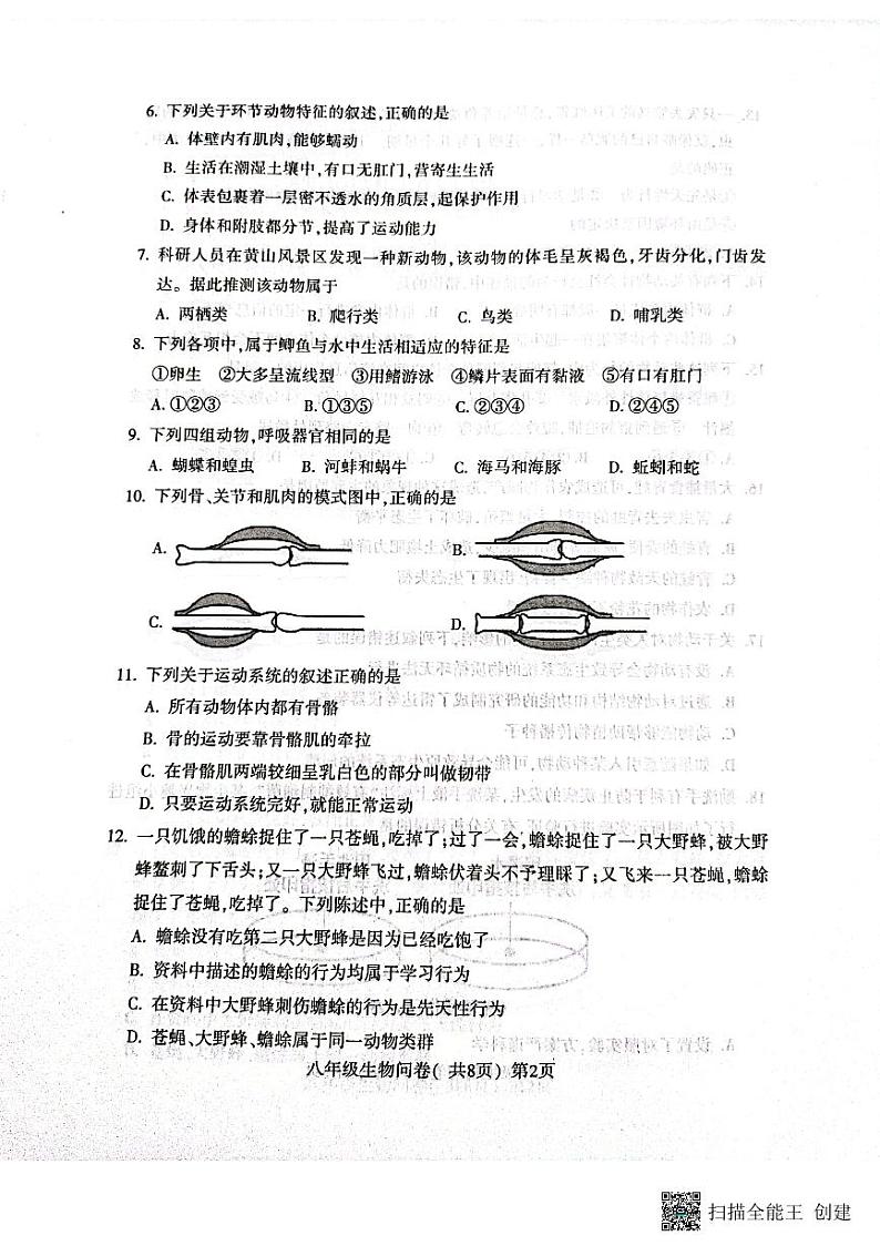 山东省聊城市阳谷县2023-2024学年八年级上学期期中生物学试题02